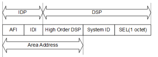 NSAP地址结构